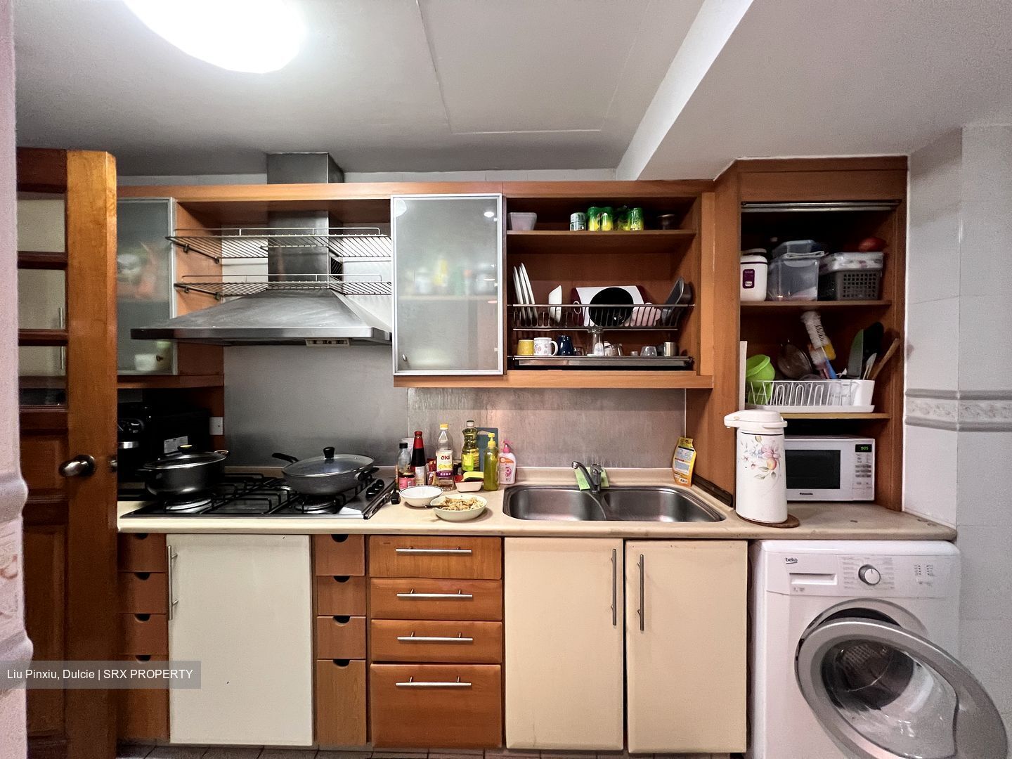 Leedon 2 (D10), Condominium #379336611